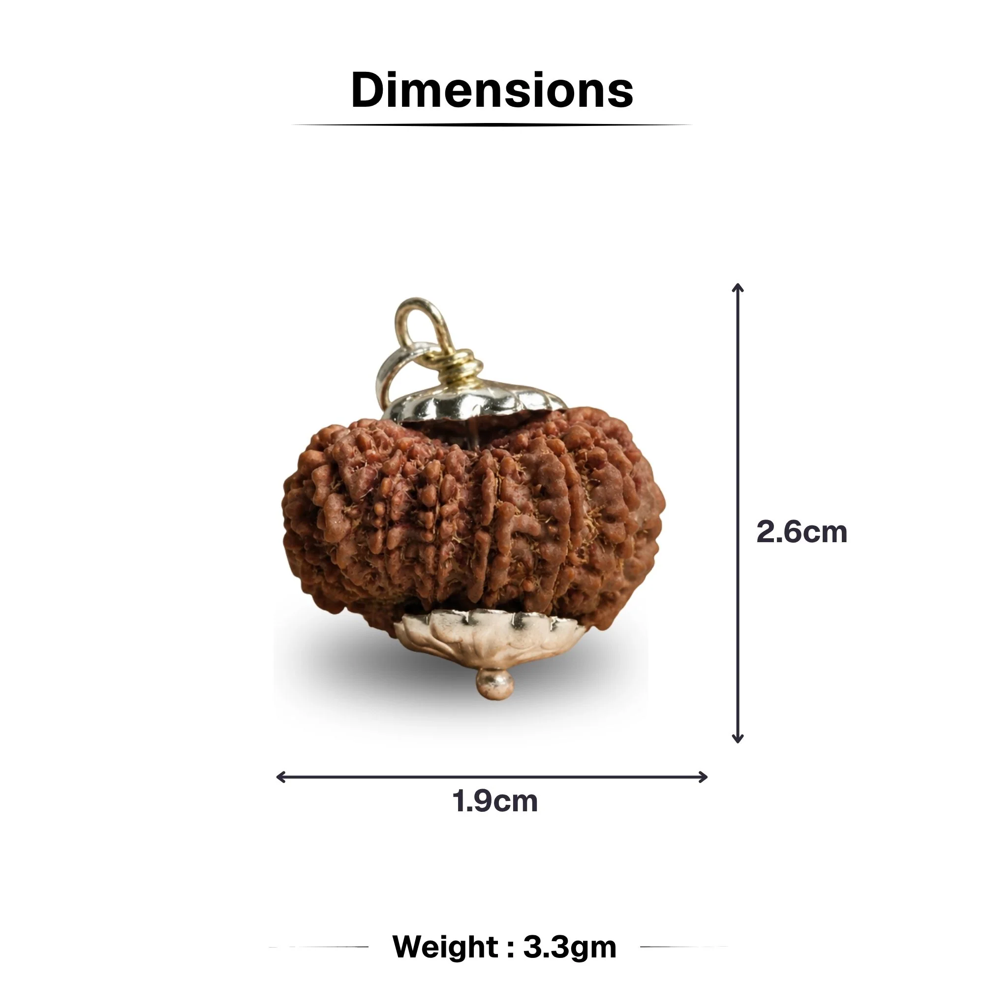 15 Mukhi Nepali Rudraksha - Pandrah Mukhi - Image 4