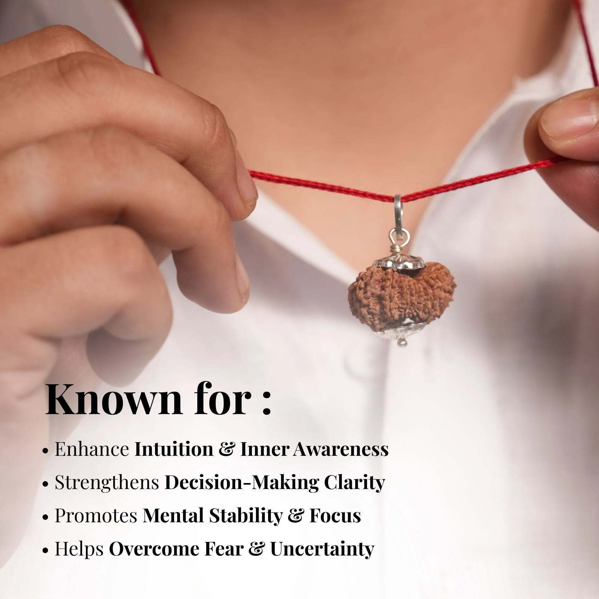 15 Mukhi Nepali Rudraksha - Pandrah Mukhi - Image 7