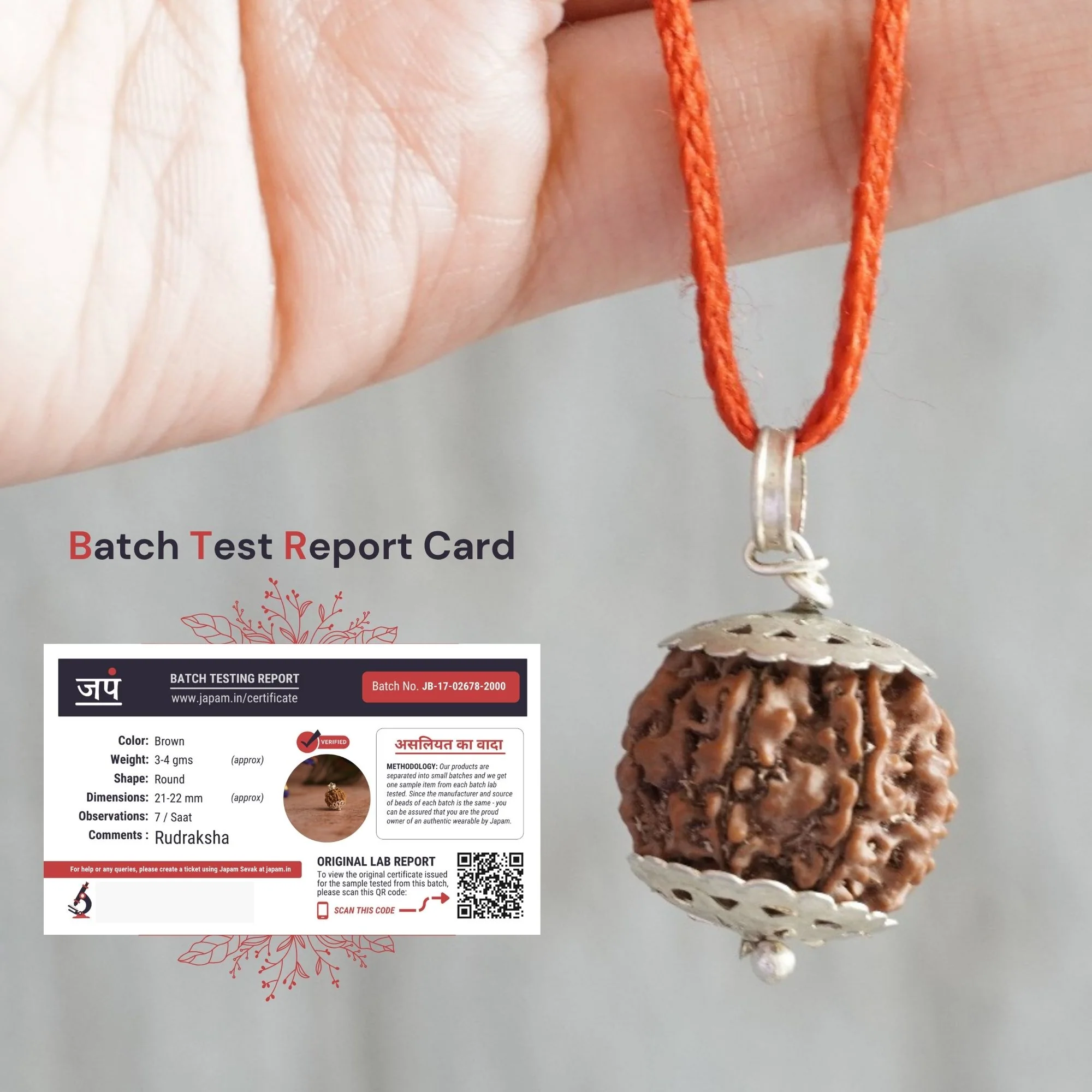 7 Mukhi Nepali Rudraksha - Saat Mukhi - Image 4