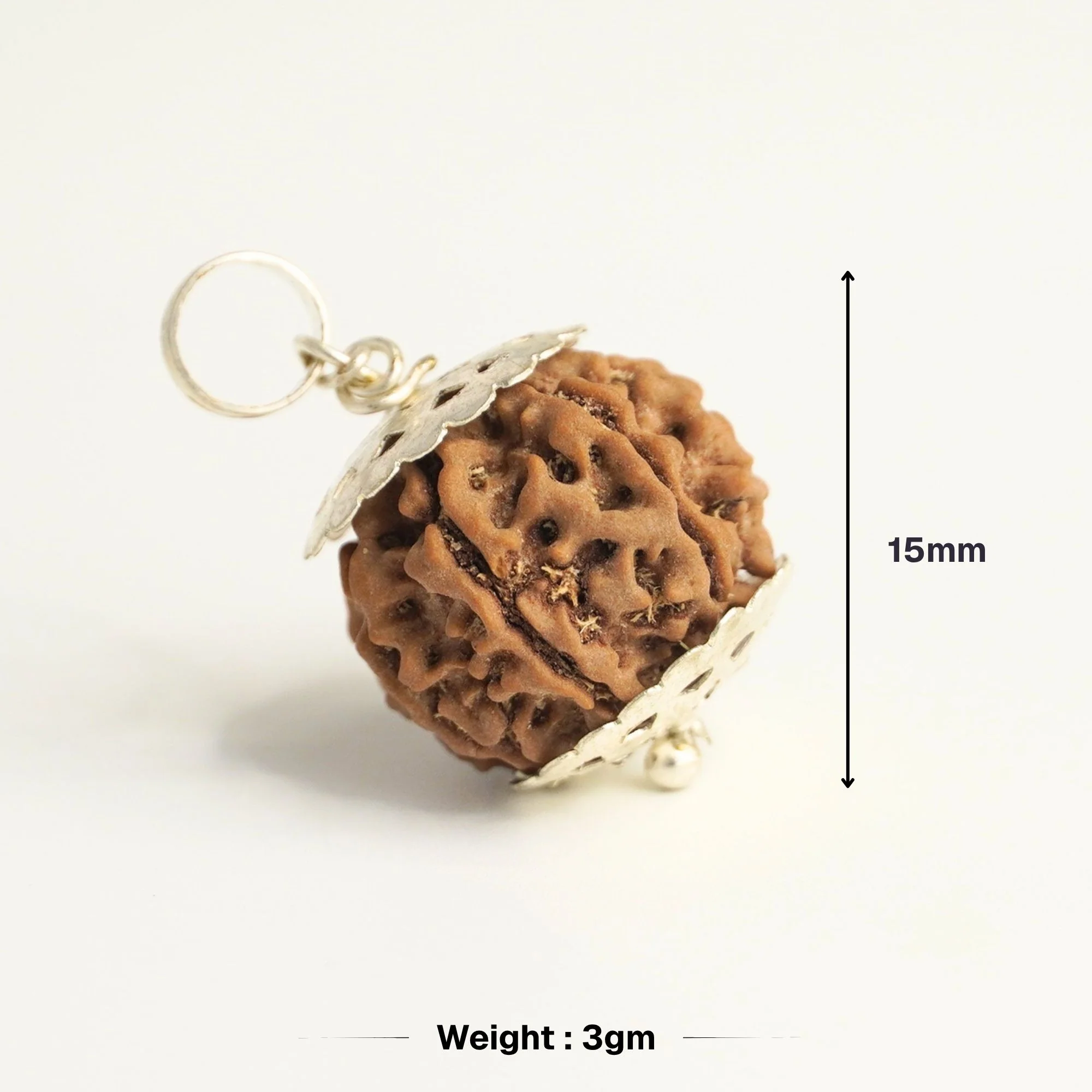 7 Mukhi Nepali Rudraksha - Saat Mukhi - Image 5